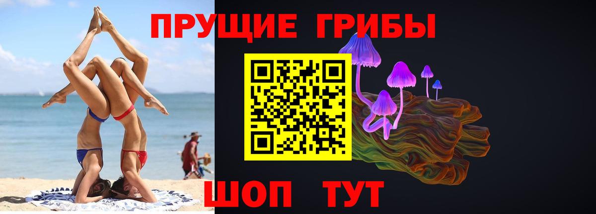 Псилоцибиновые грибы мухоморы  магазин  наркотиков  Клин  Псилоцибиновые грибы Psilocybine cubensis  Вход с VPN 